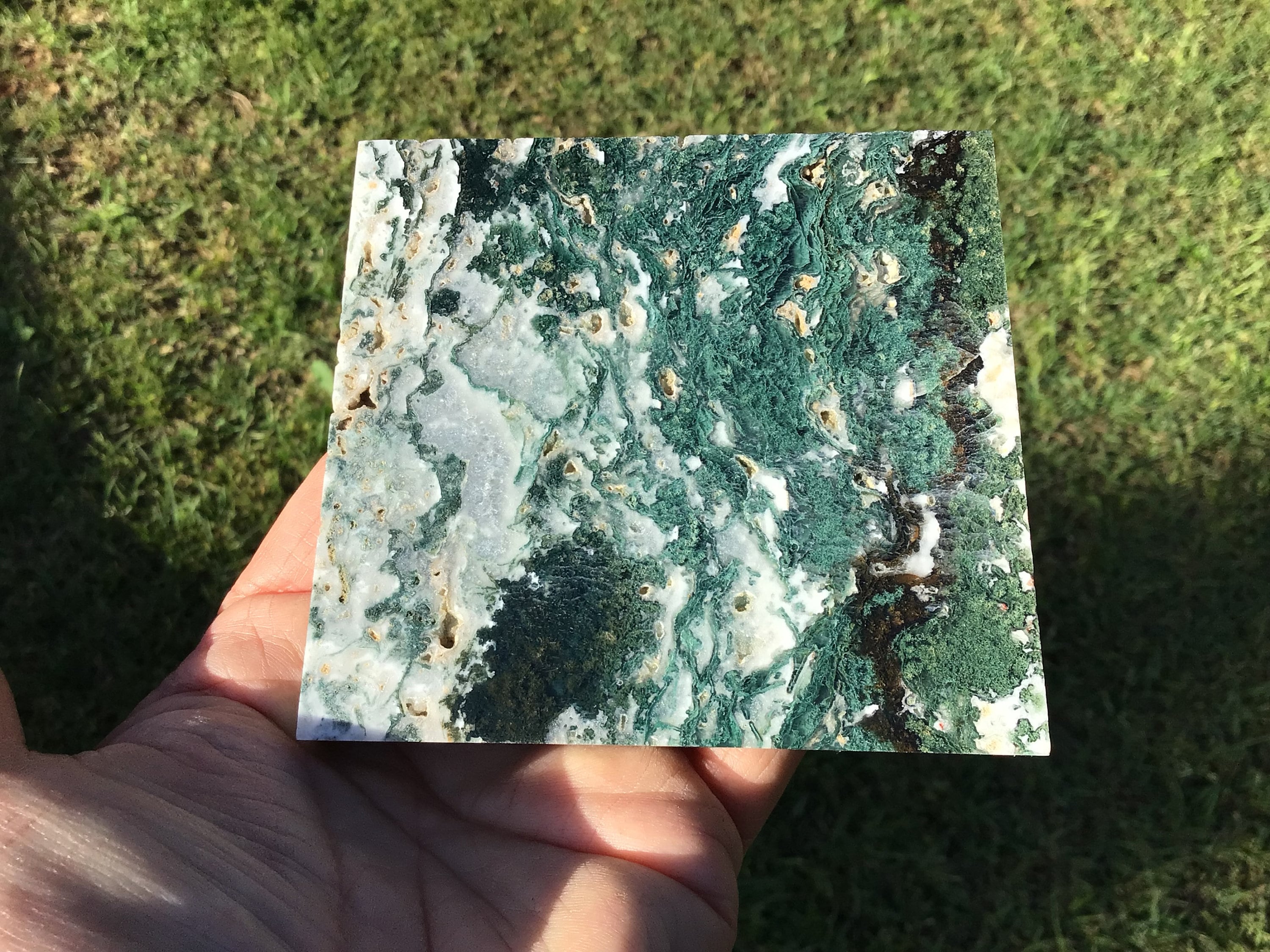 215g Moss Agate Polished Slice 4B
