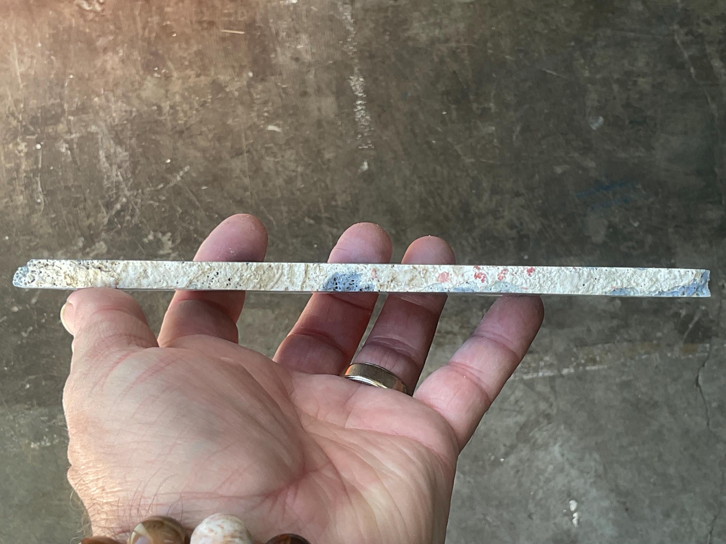 110g Natural Blue Coral Fossil Slab 4C