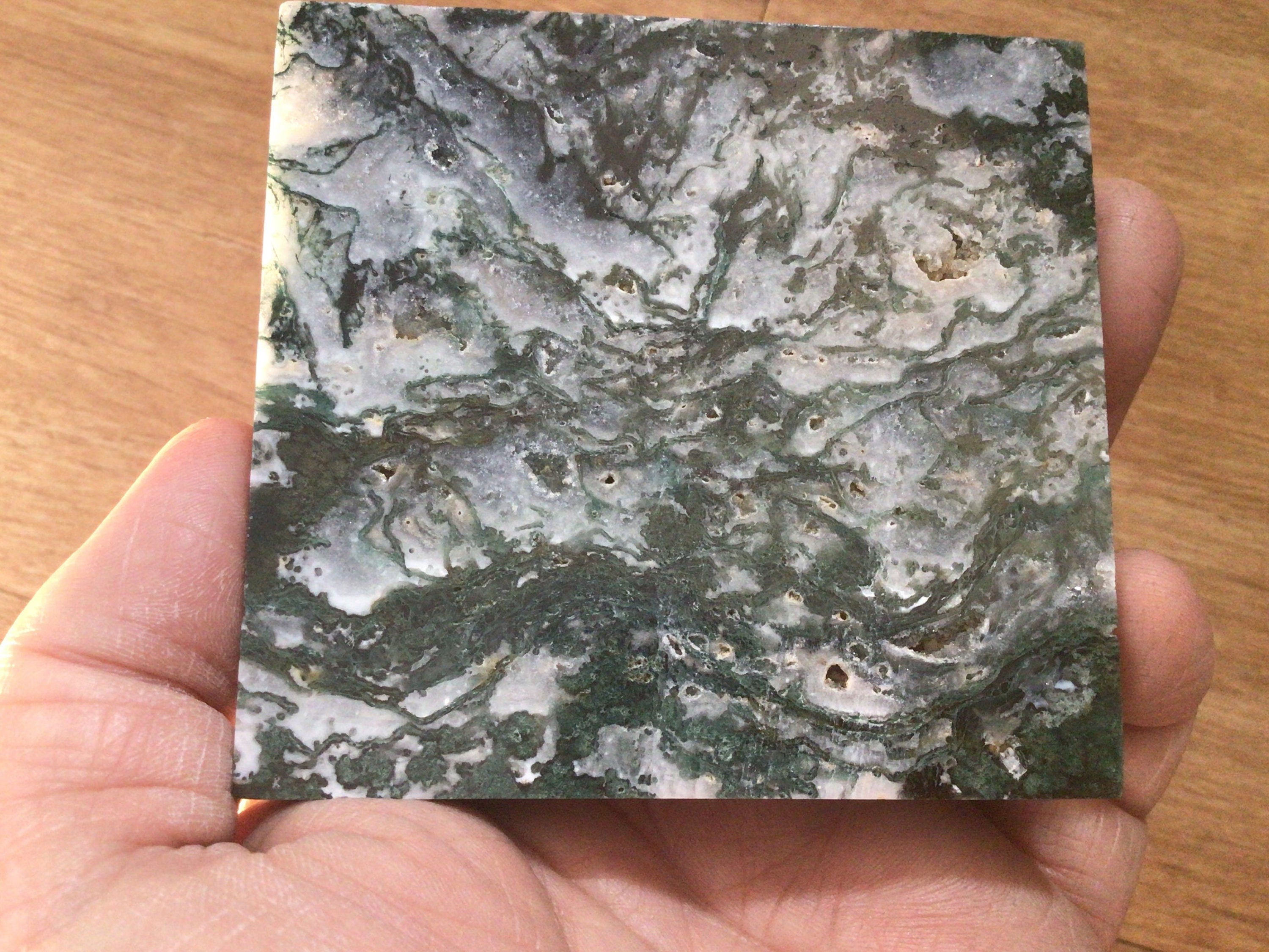 164g Moss Agate Polished Slab 1B