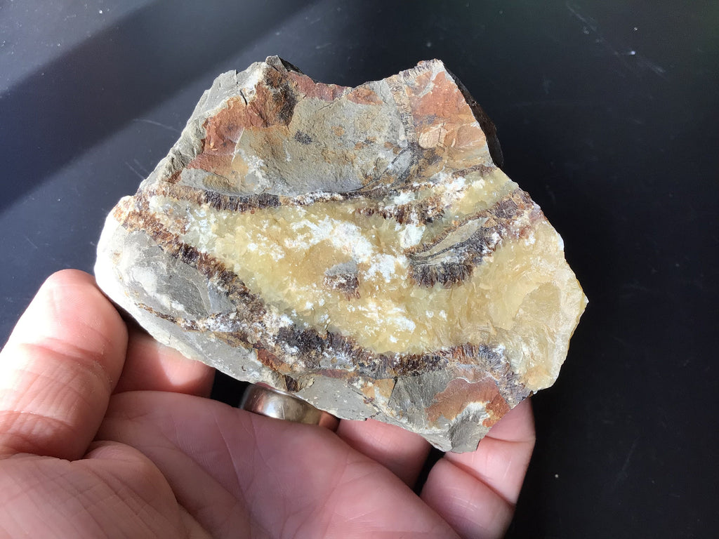327g Rough Madagascan Septarian Piece C