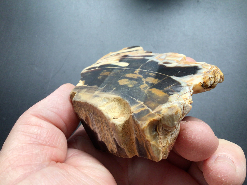 171g Sliced Western Australian Peanut Wood 10C