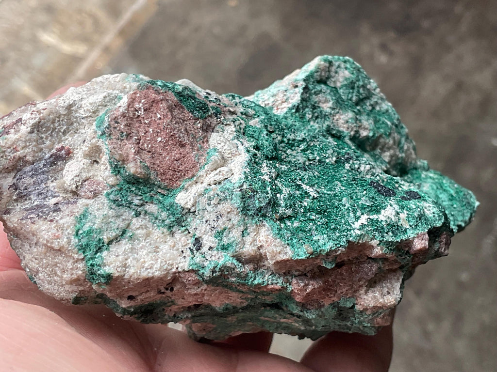 370g Atacamite Specimen 1D from Mt Gunson