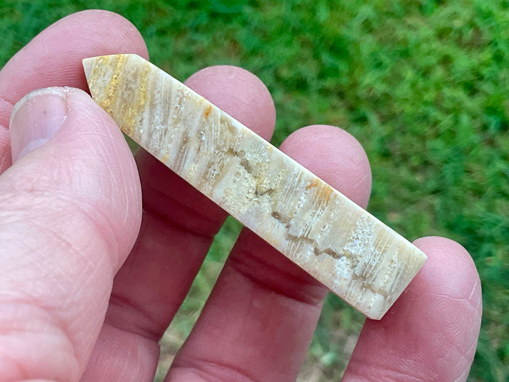 28g Fossilised Coral Generator 2A