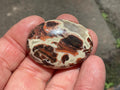 18g “Money Agate” Thumb Stone