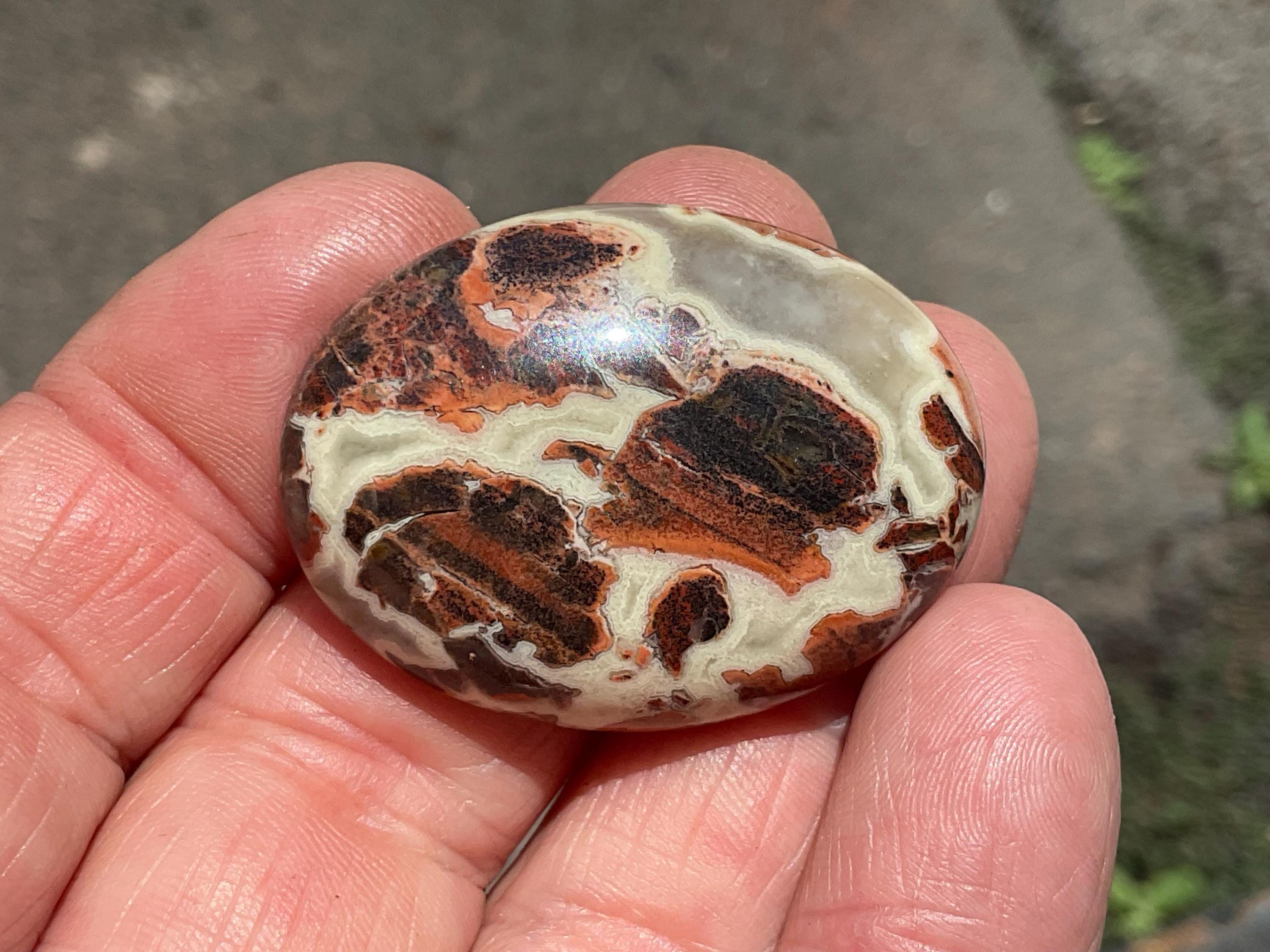 18g “Money Agate” Thumb Stone
