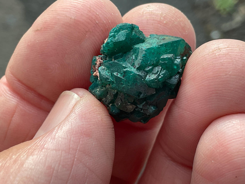 RESERVED FOR ASHRA ** 4g Congolese Dioptase Specimen A