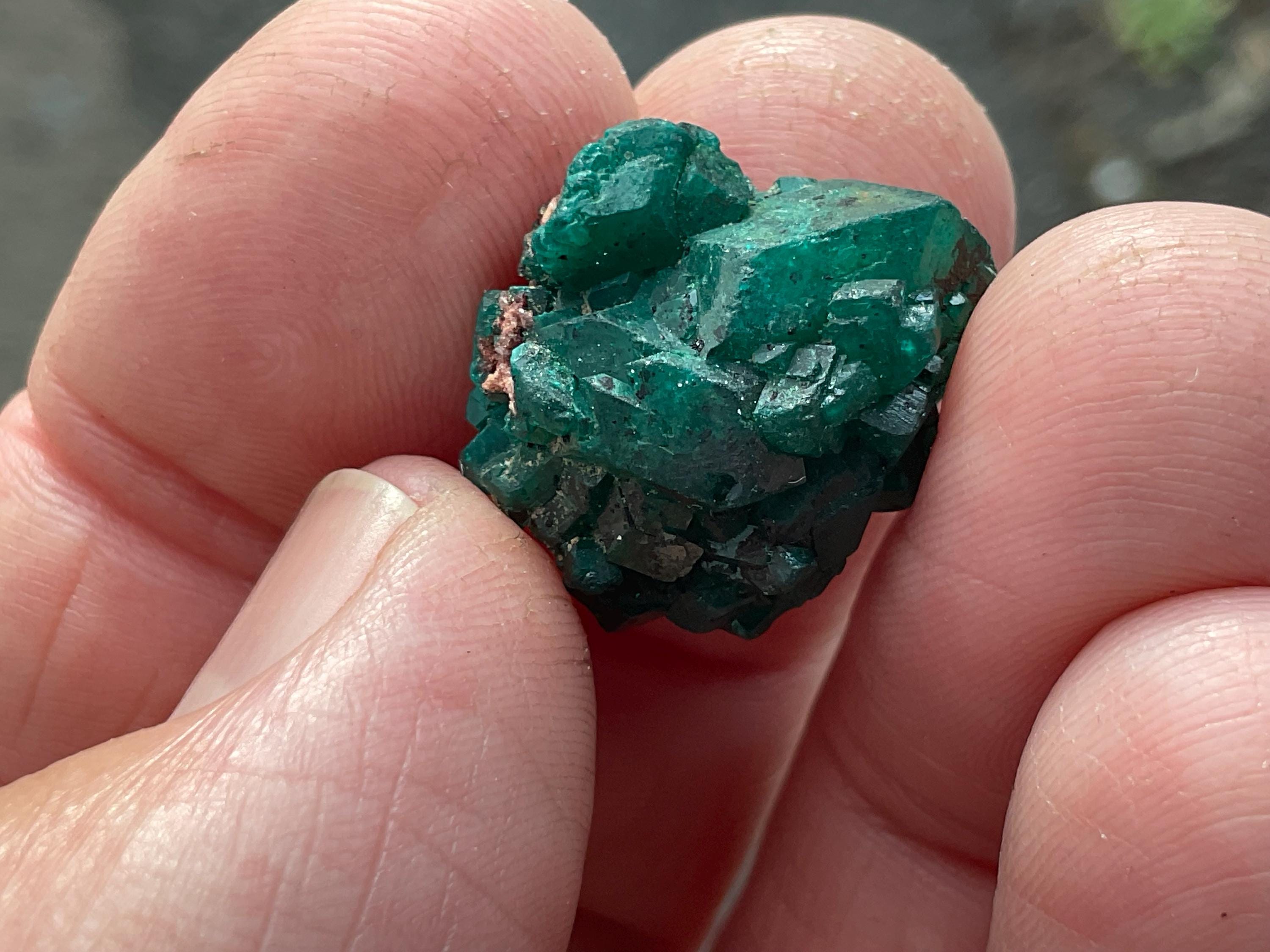RESERVED FOR ASHRA ** 4g Congolese Dioptase Specimen A