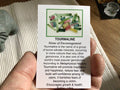 Afghanistan Tourmaline Specimen Pack A