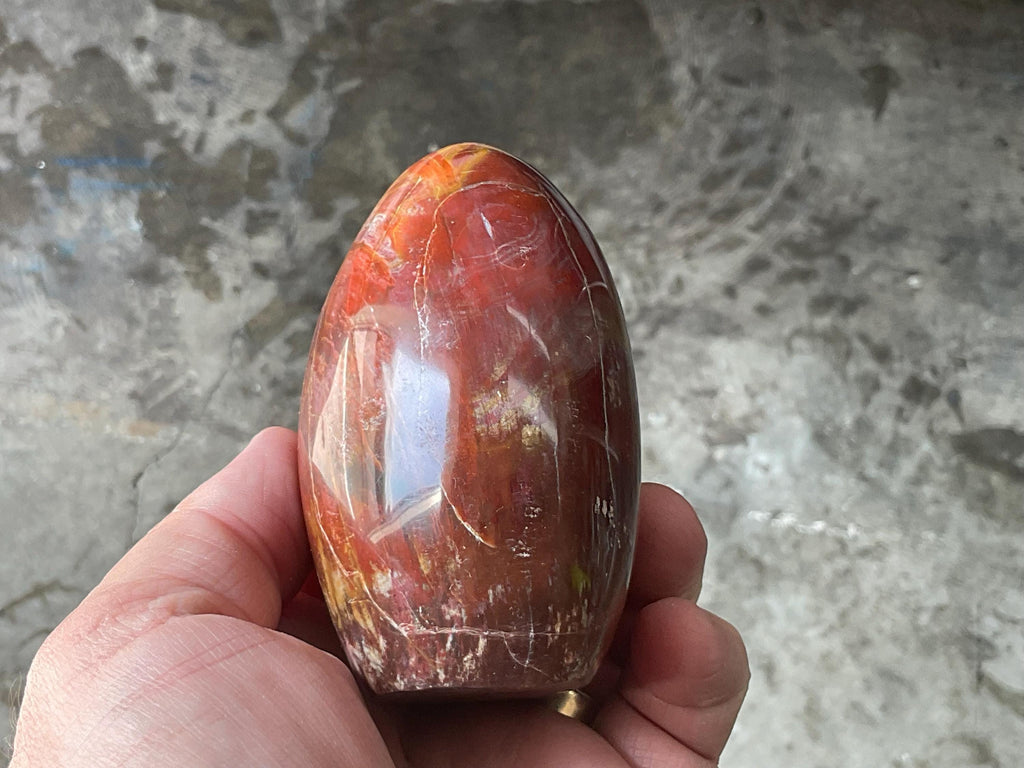 472g Petrified Wood Freeform B from Madagascar