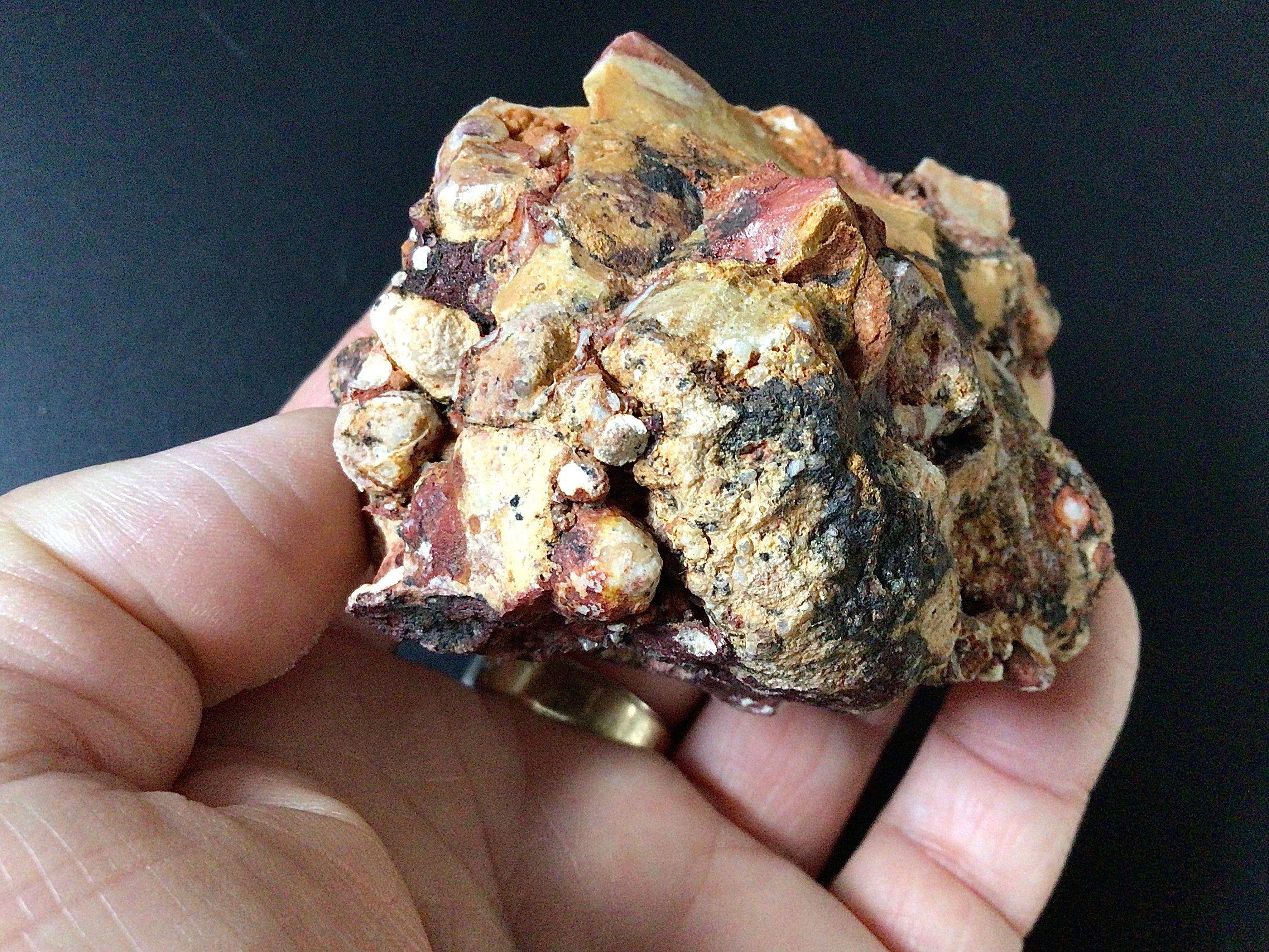 188g Oncolite Rough Piece 4B
