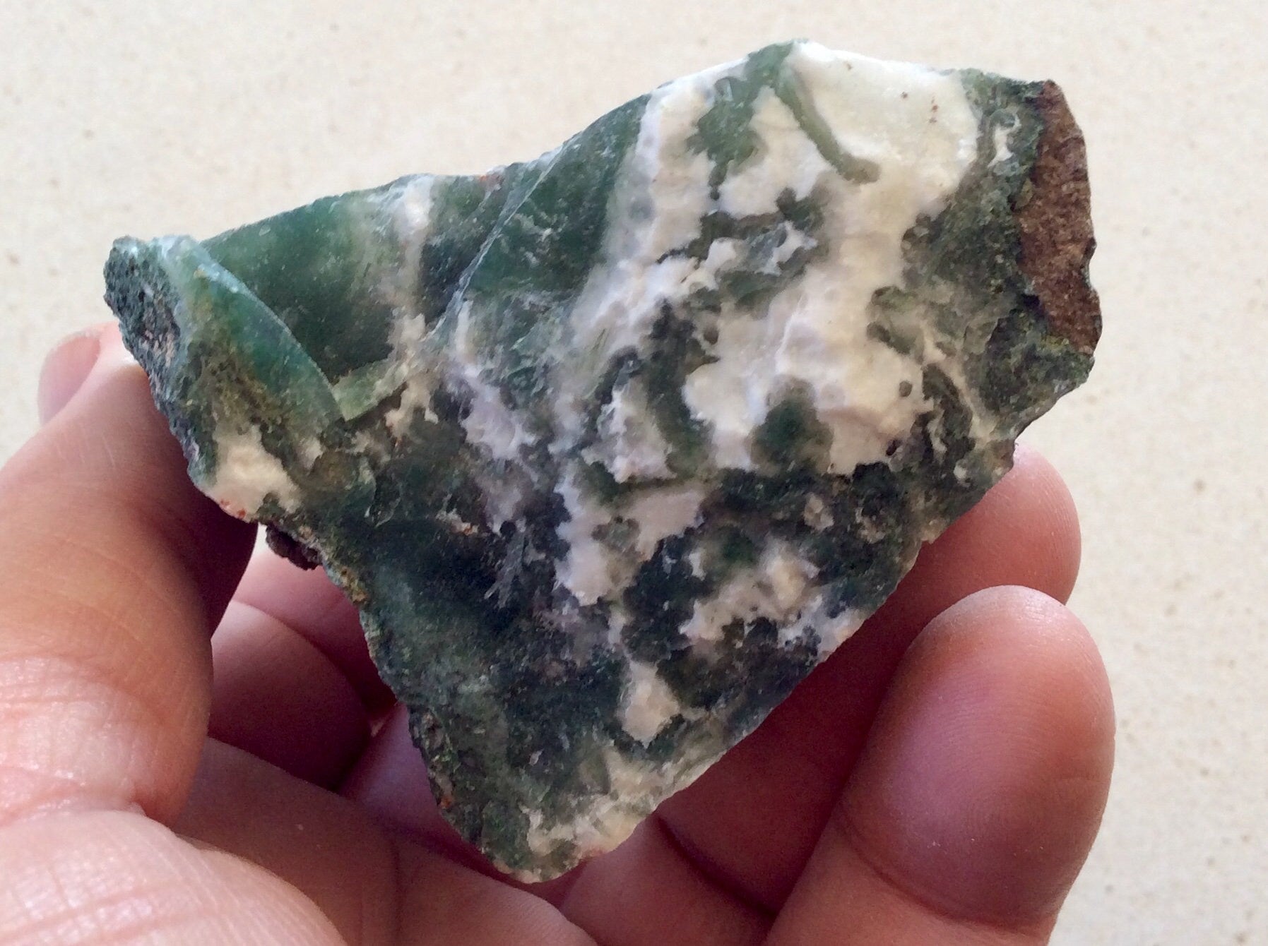 186g Tree Agate Rough Chunk 5