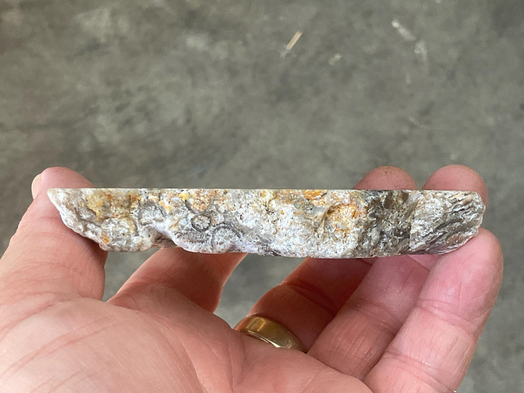 138g Fossilized/Agatised Coral Slab 2B