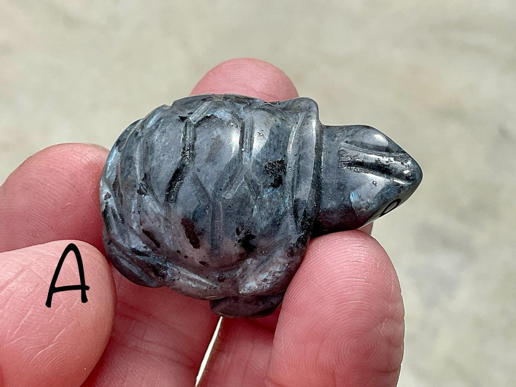 Larvikite Small Turtle Group 1