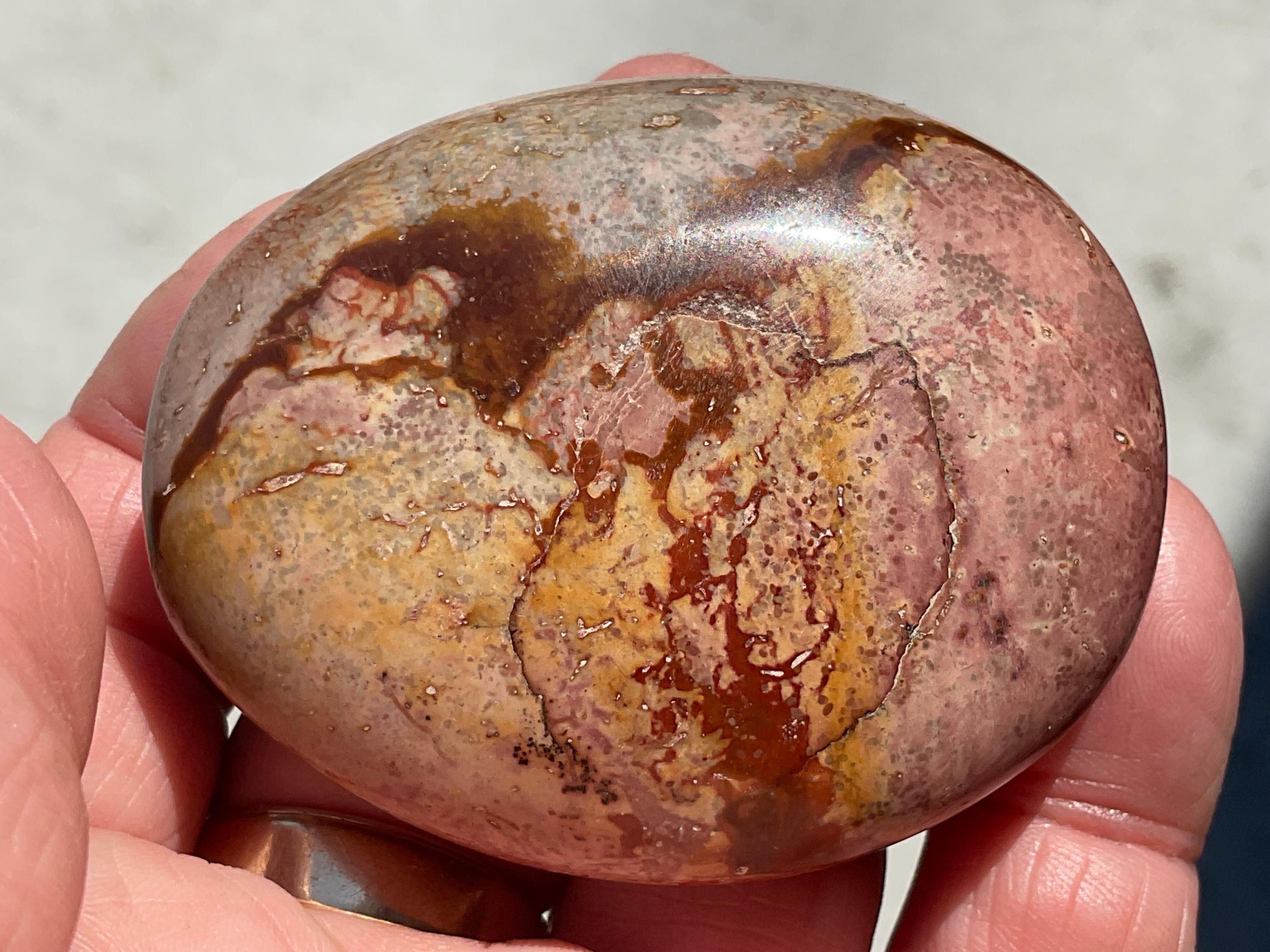 106g Polychrome Jasper Palmstone 24B