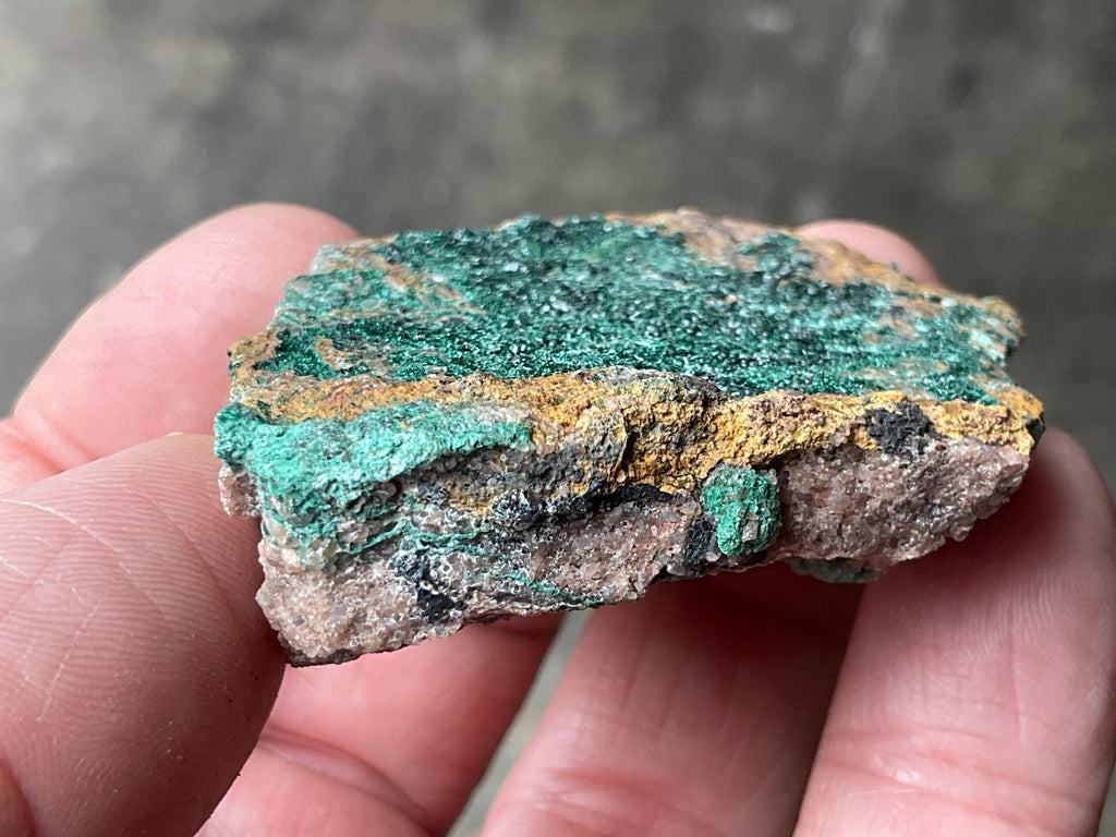 46g Atacamite Specimen 1B from Mt Gunson