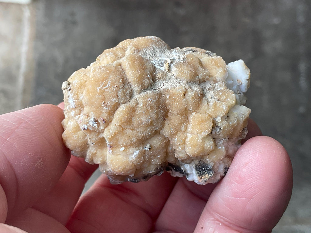 64g “Popcorn Selenite” Specimen 4B