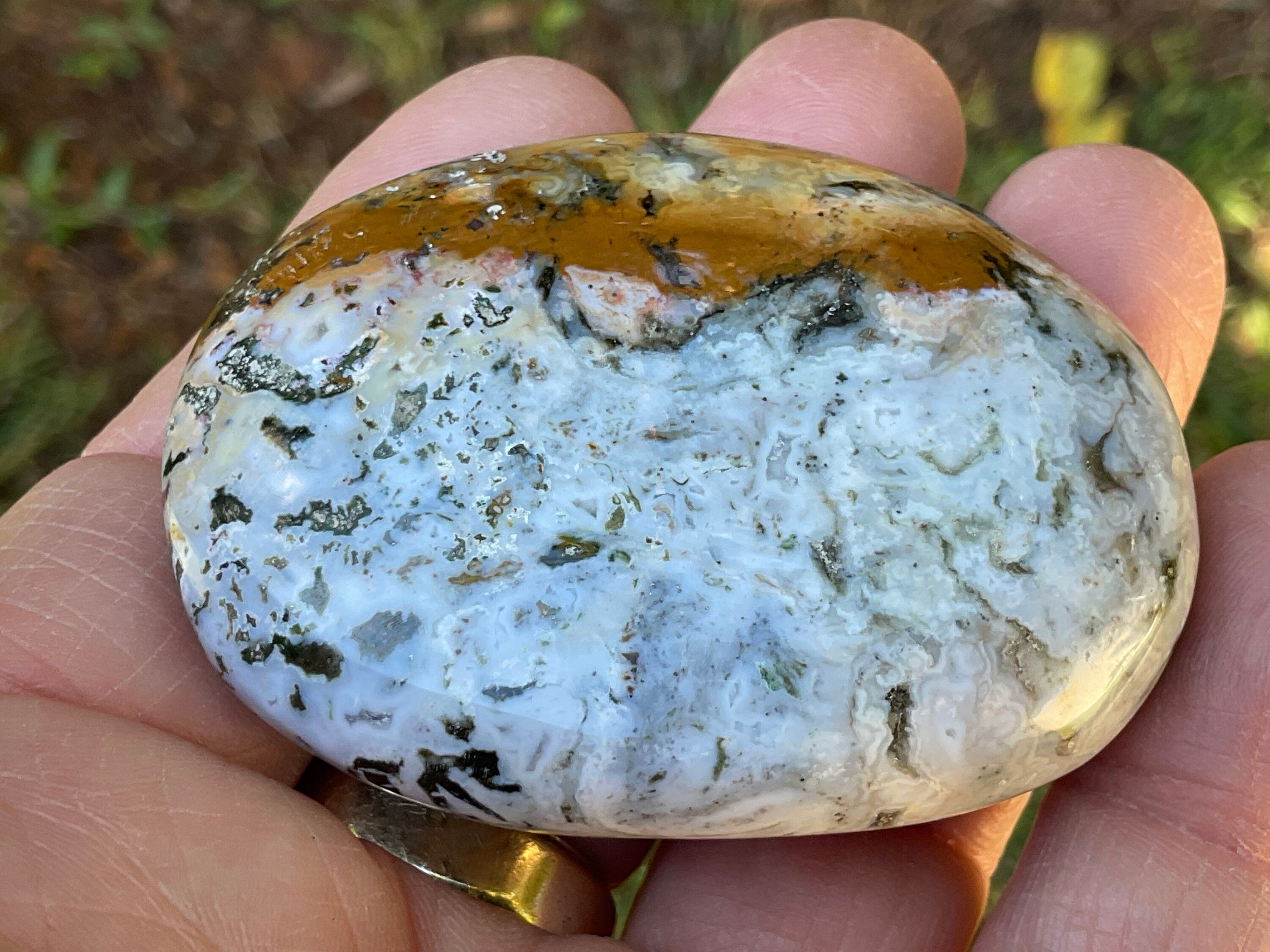 98g Ocean Jasper/Opal Palmstone 8B