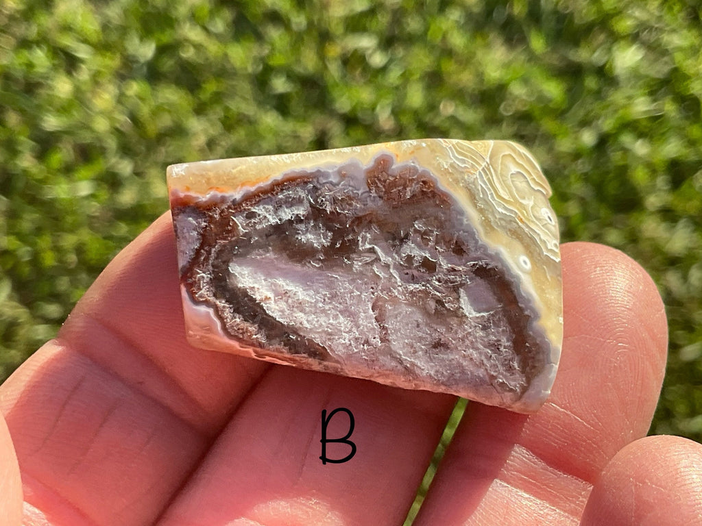 Mexican Crazy Lace Agate Thin Freeforms Group 3