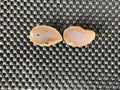 24g Small Brazilian Polished Agate Pair E