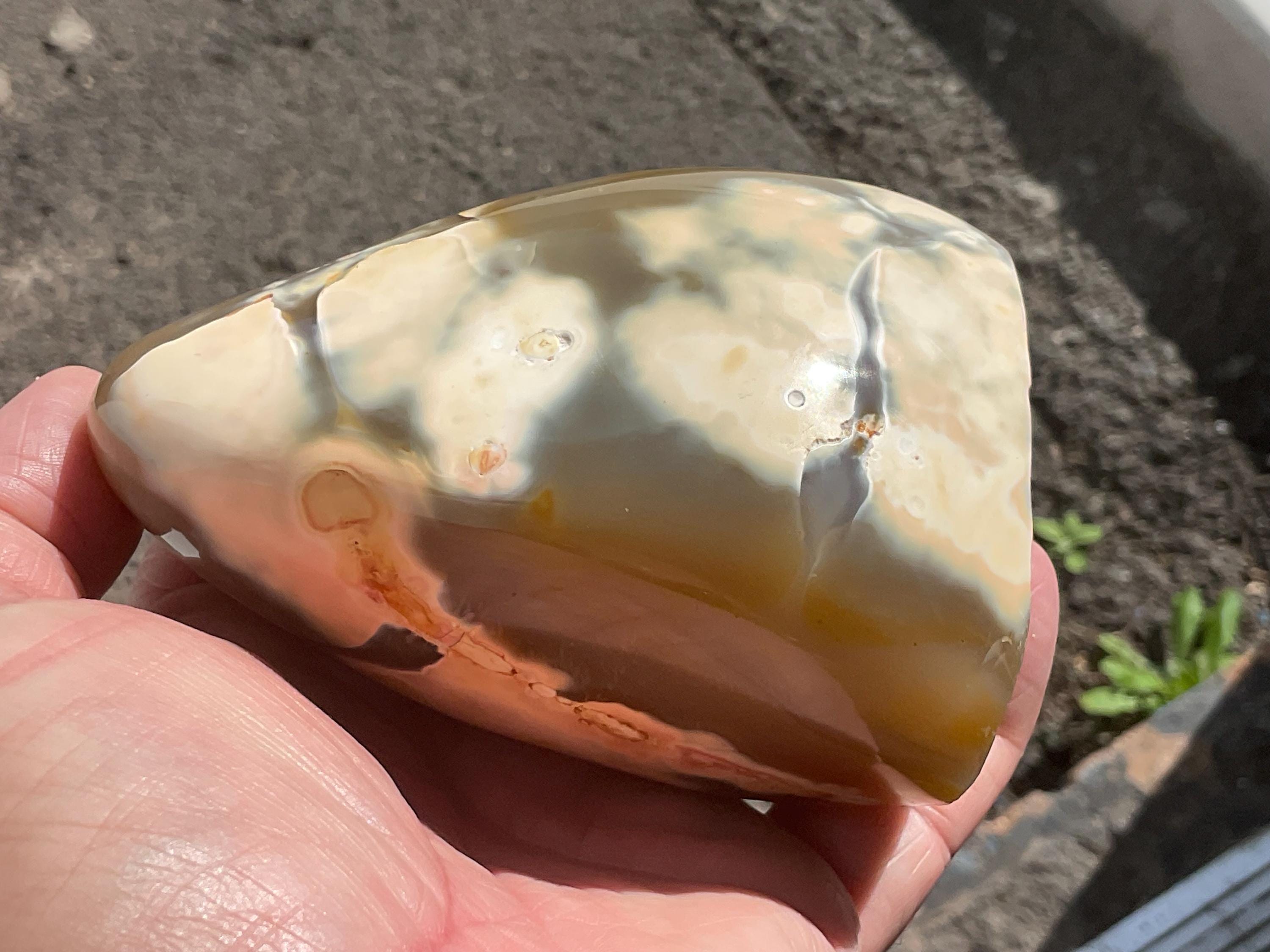 606g Orca Agate Freeform B