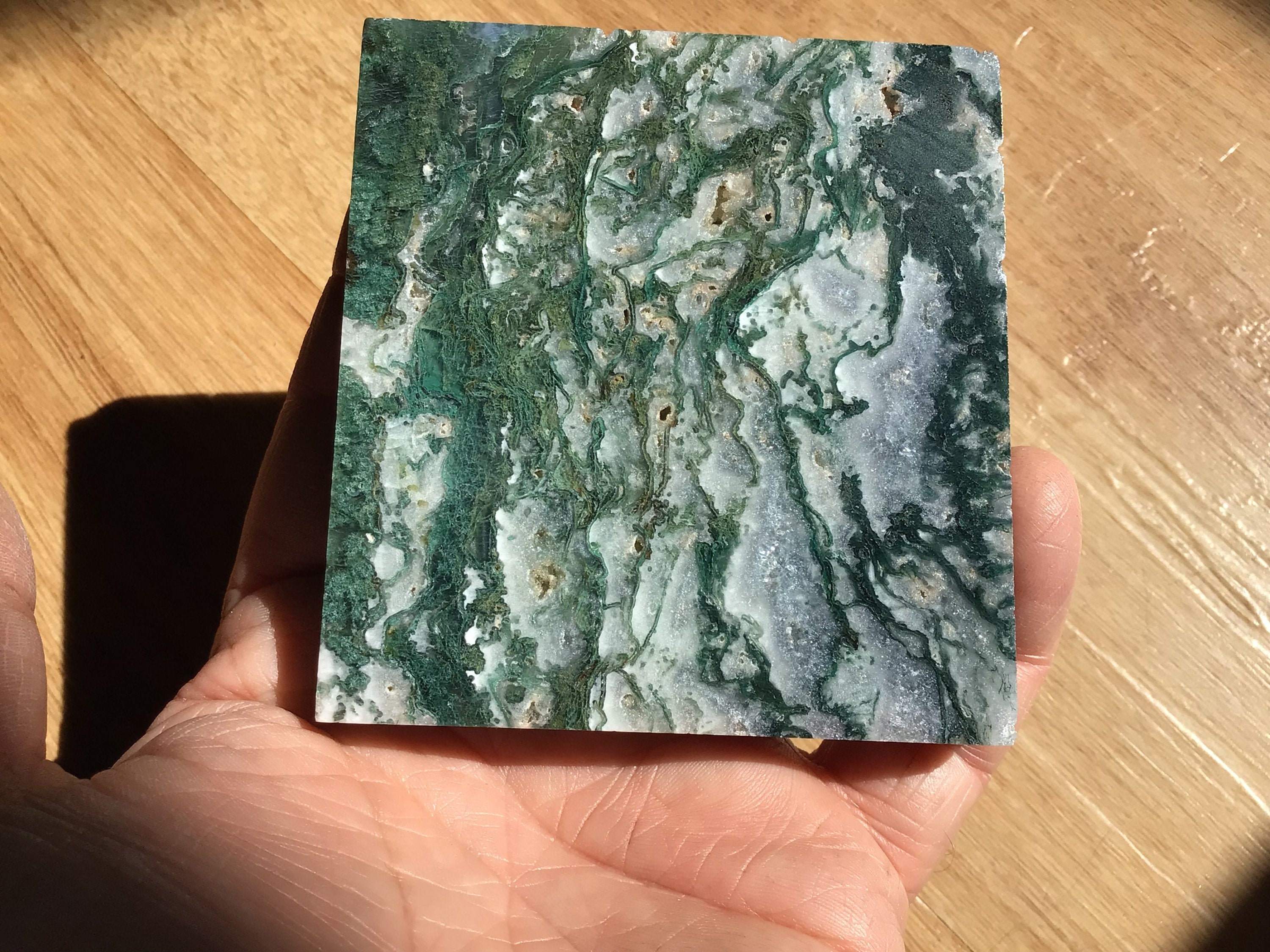164g Moss Agate Polished Slab 1B