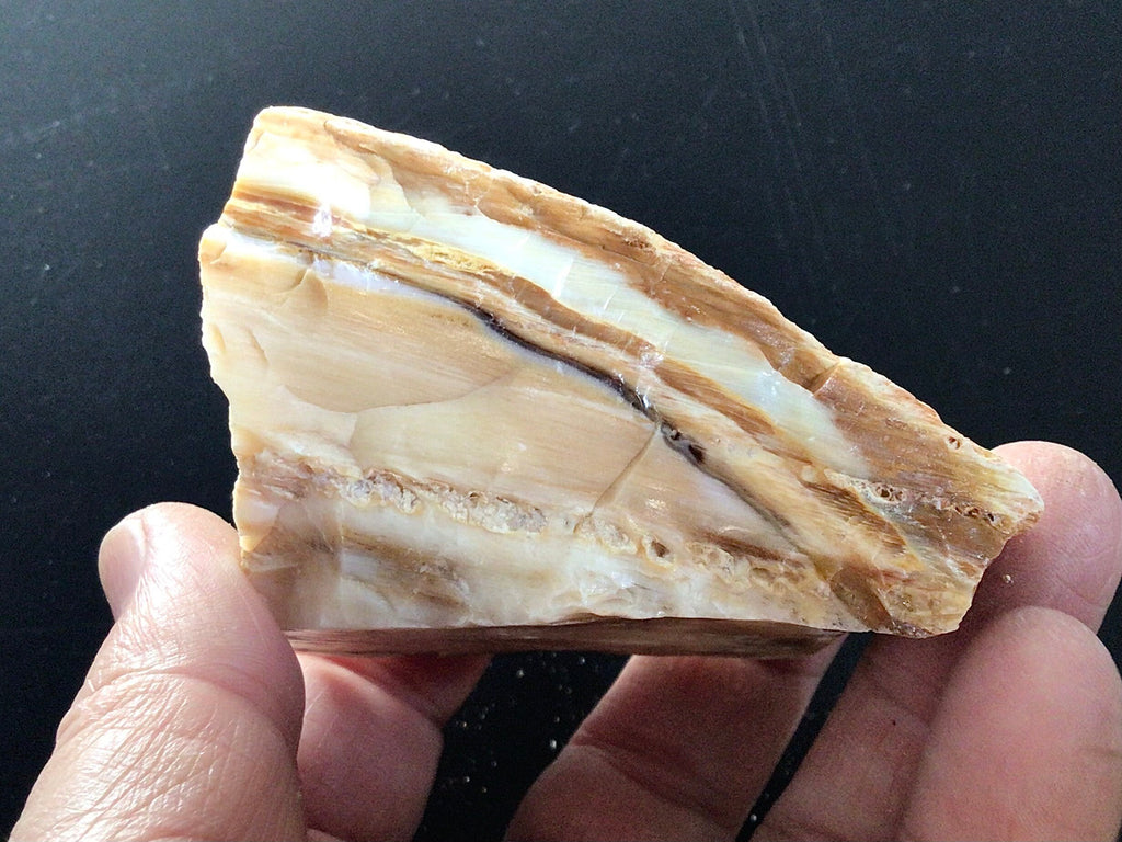 149g Natural Opalised Wood Rough Piece 5C