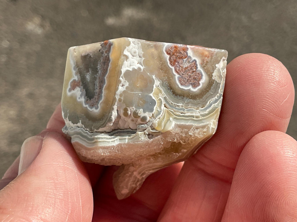 42g Mexican Crazy Lace Agate Freeform 15C