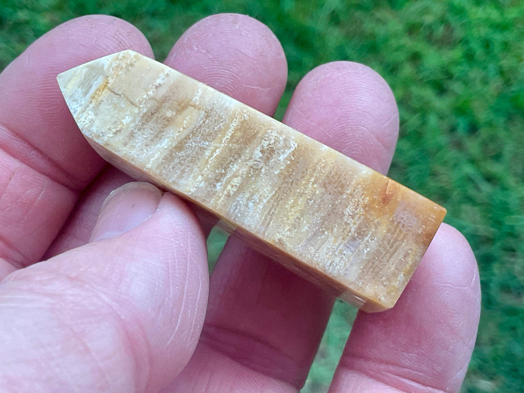 31g Fossilised Coral Generator 2B