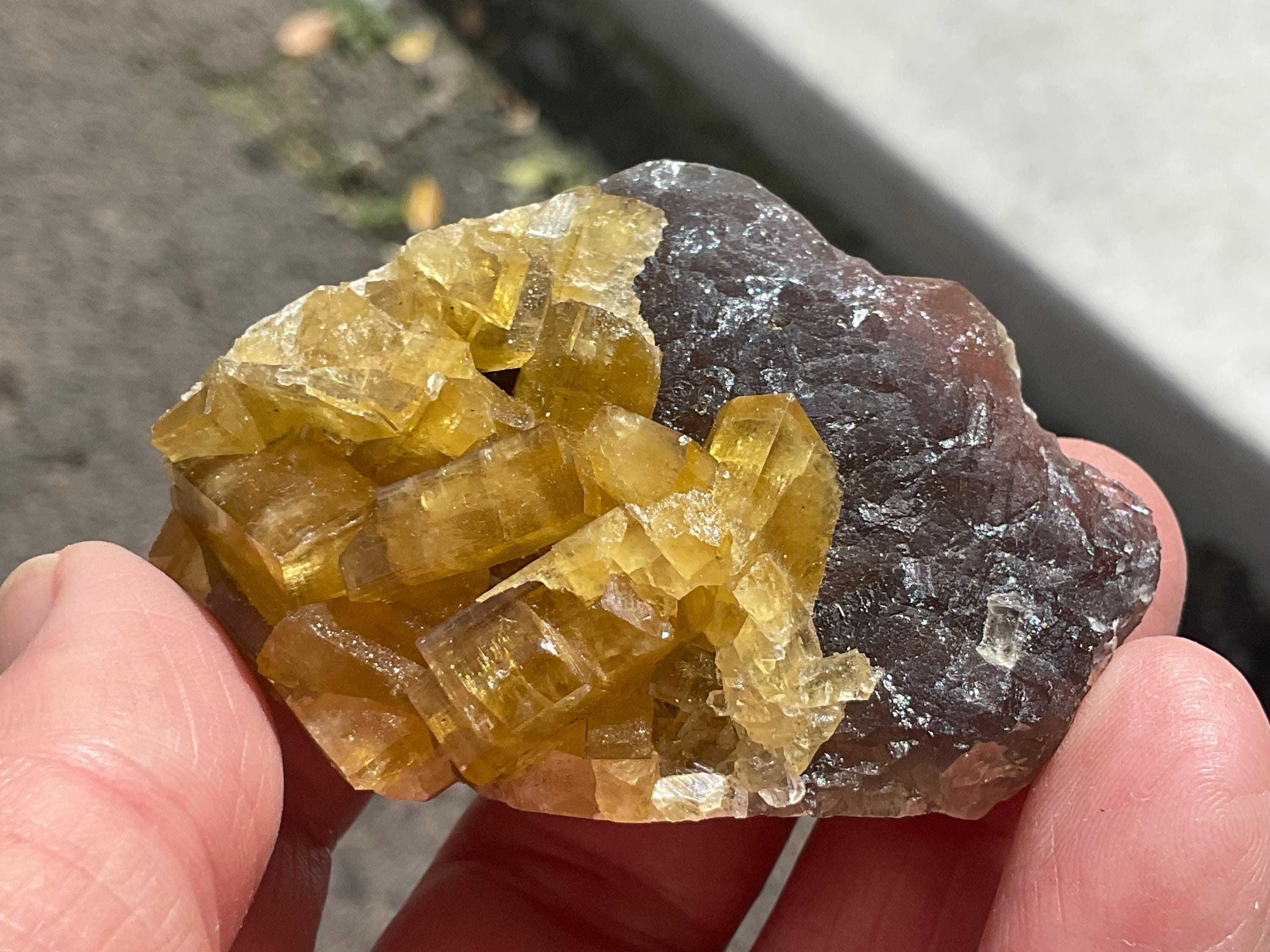 110g Tabular Golden Baryte on Botryoidal Fluorite Specimen 6A from Jiangxi
