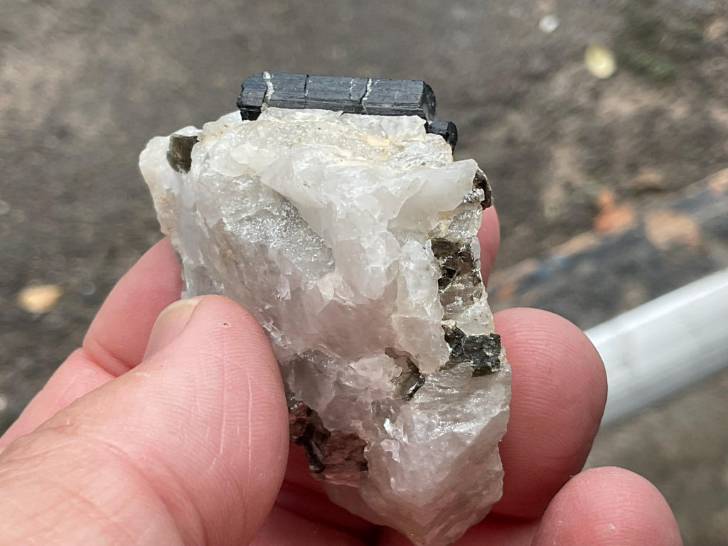 56g Western Australian Black Tourmaline (Schorl) in Quartz with Mica Specimen