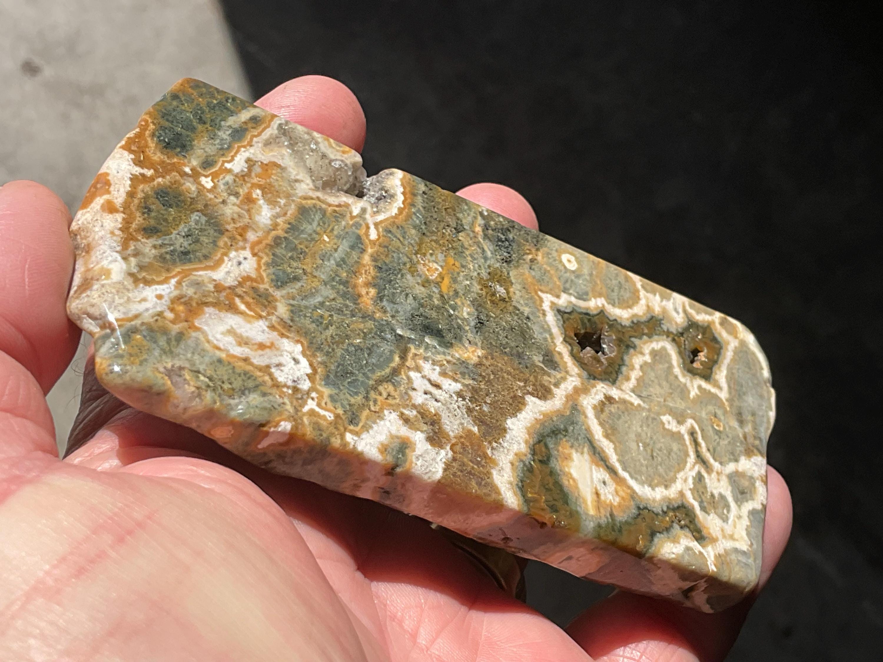 208g Ocean Jasper Polished Slab 3C