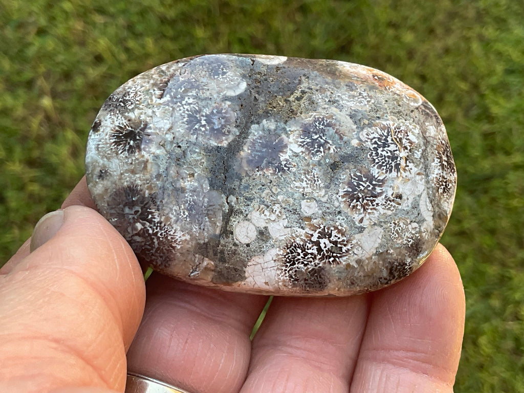 68g Green Cherry Blossom Jasper Palmstone 6A