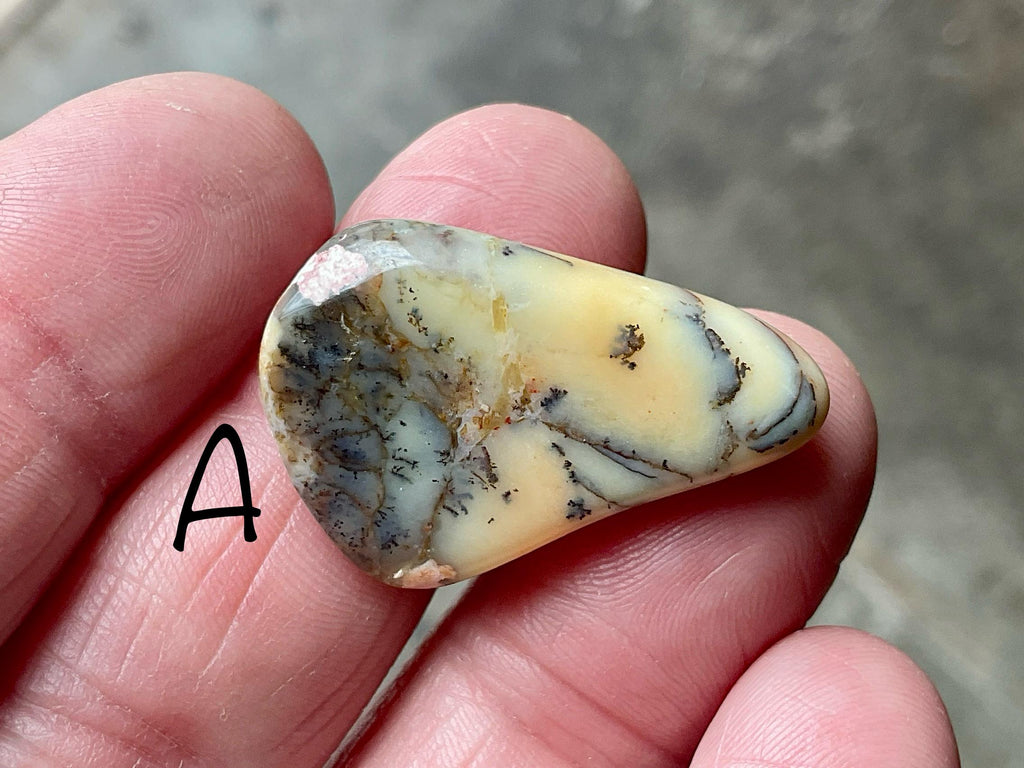 Yellow/Green Western Australian Dendritic Opalite Flat Stone Group