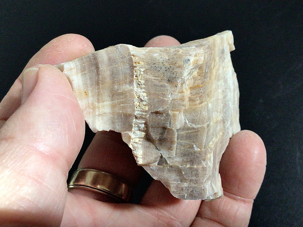 100g Natural Opalised Wood Rough Piece 2B