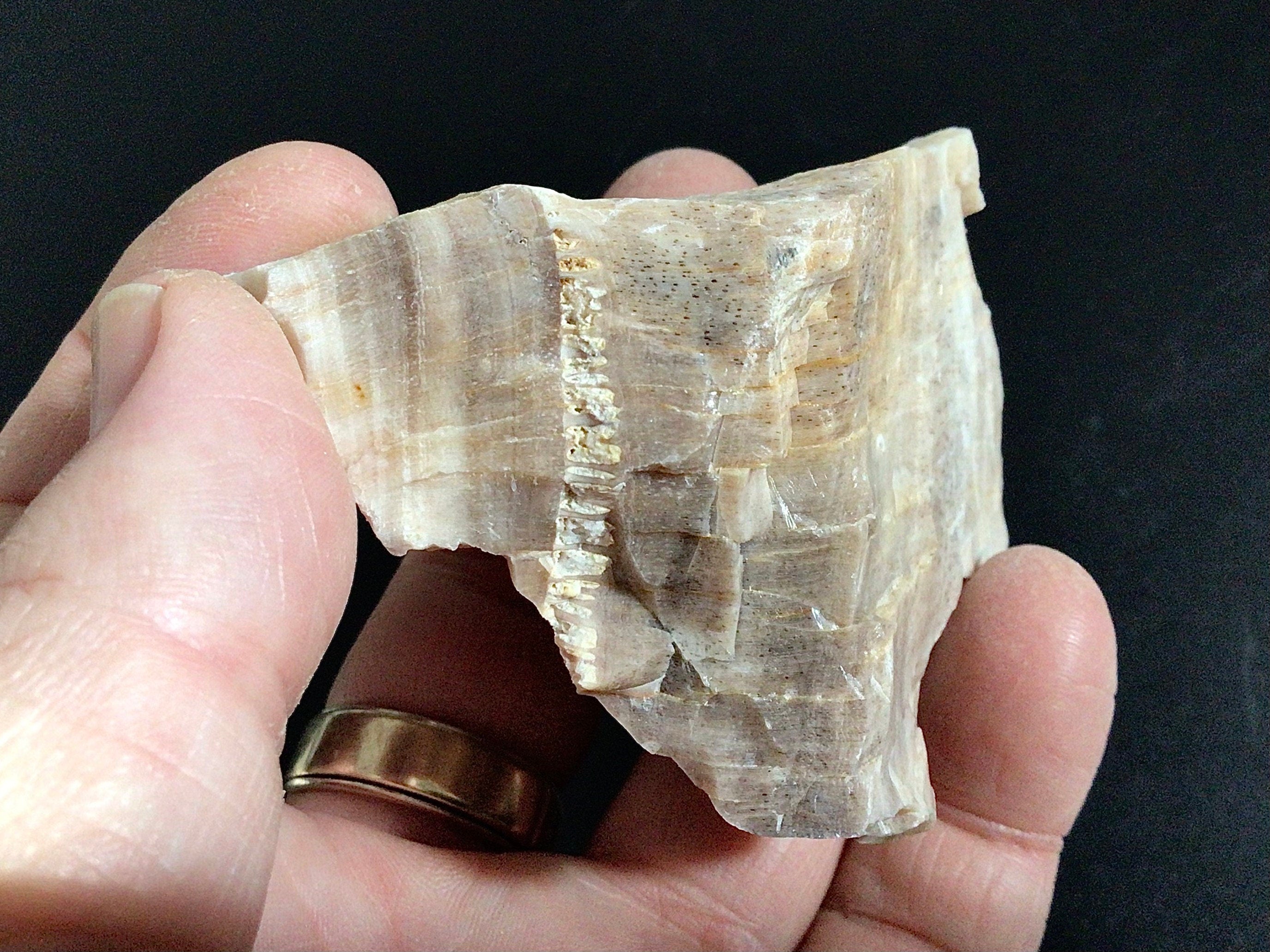 100g Natural Opalised Wood Rough Piece 2B