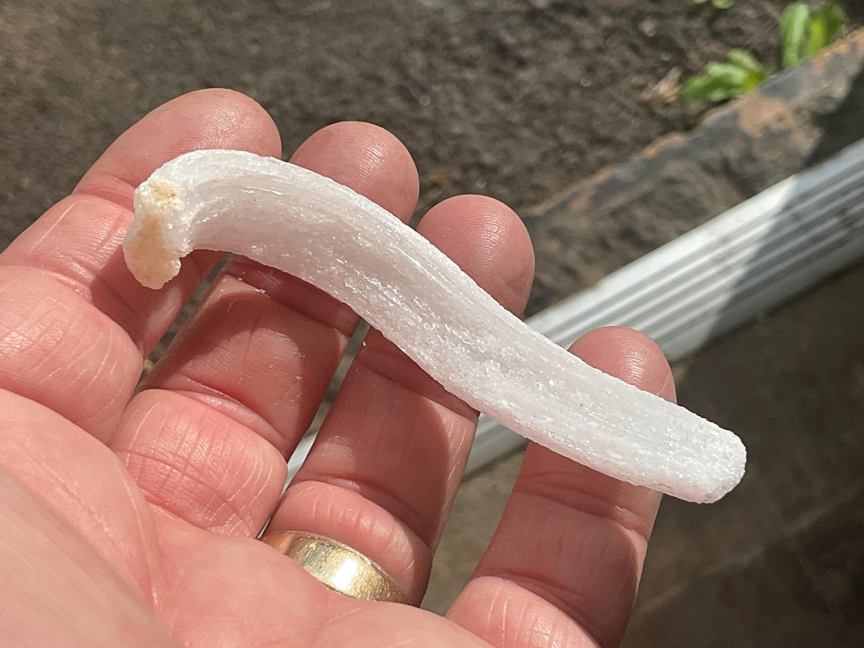 10g Rams Horn Selenite Specimen 4C