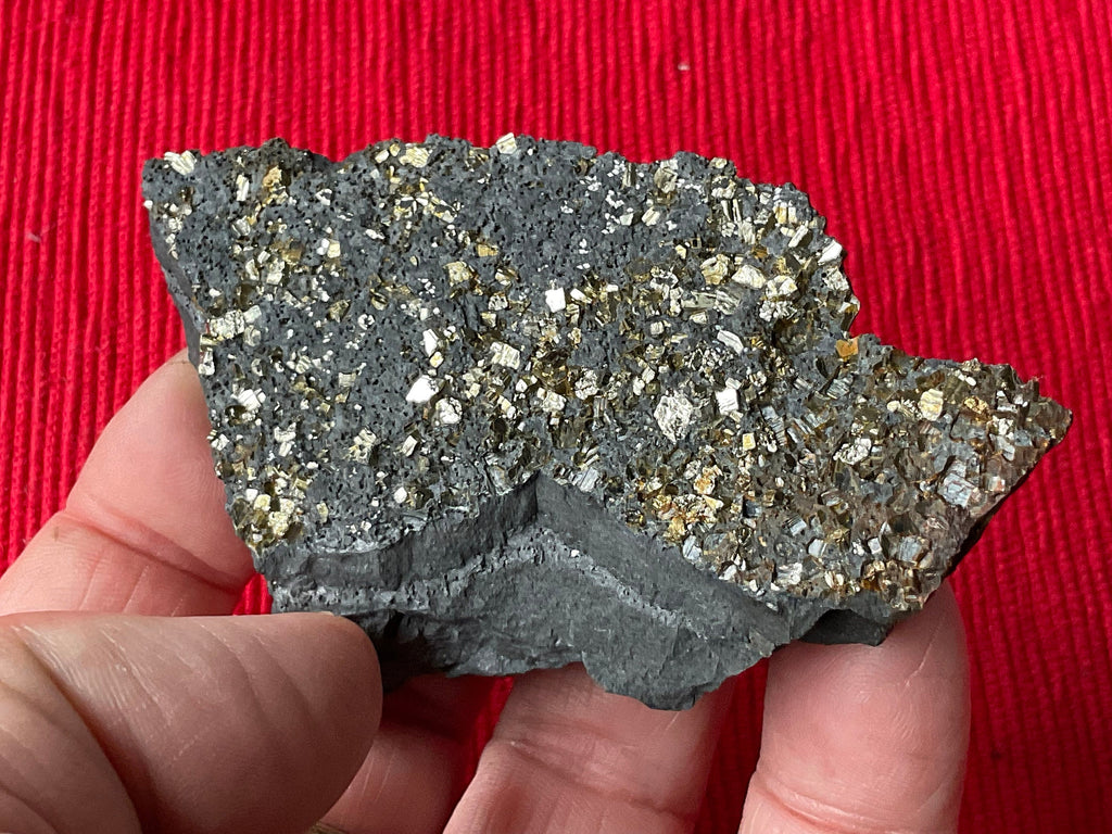 72g Tasmanian Cubic Pyrite Specimen 1C