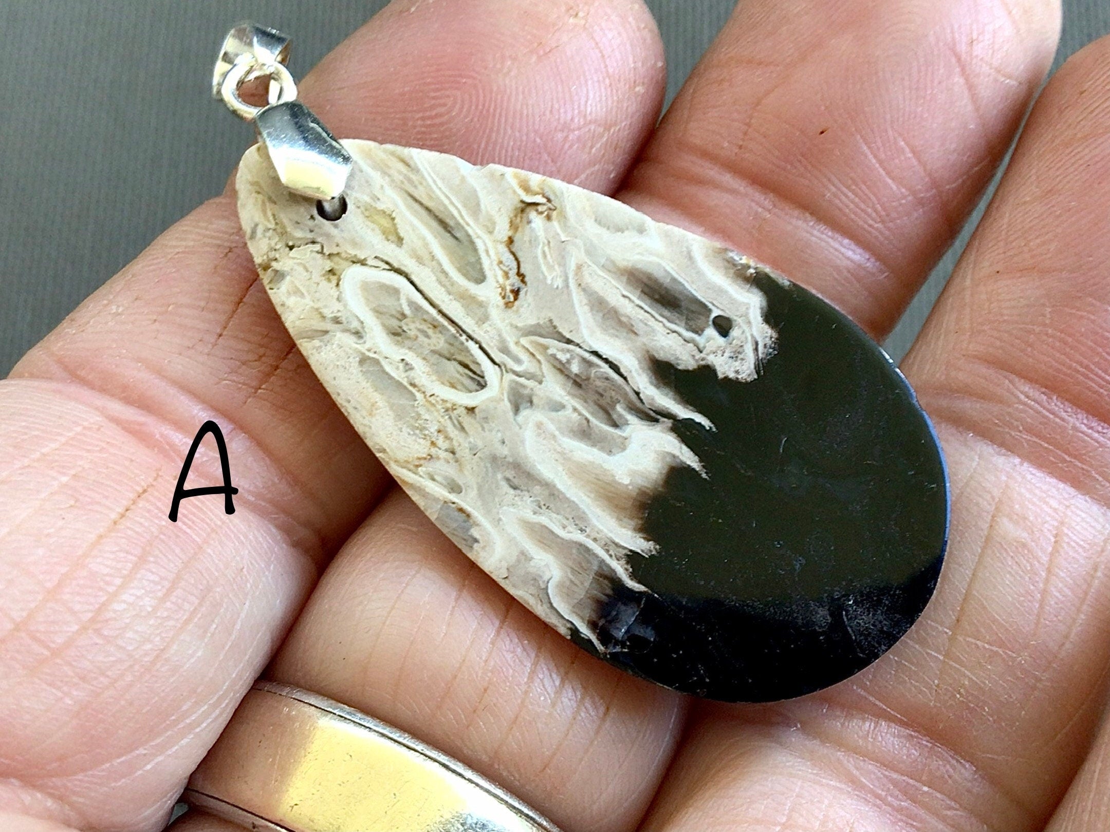 Indonesian Fossilised Palm Tree Pendants Group 4