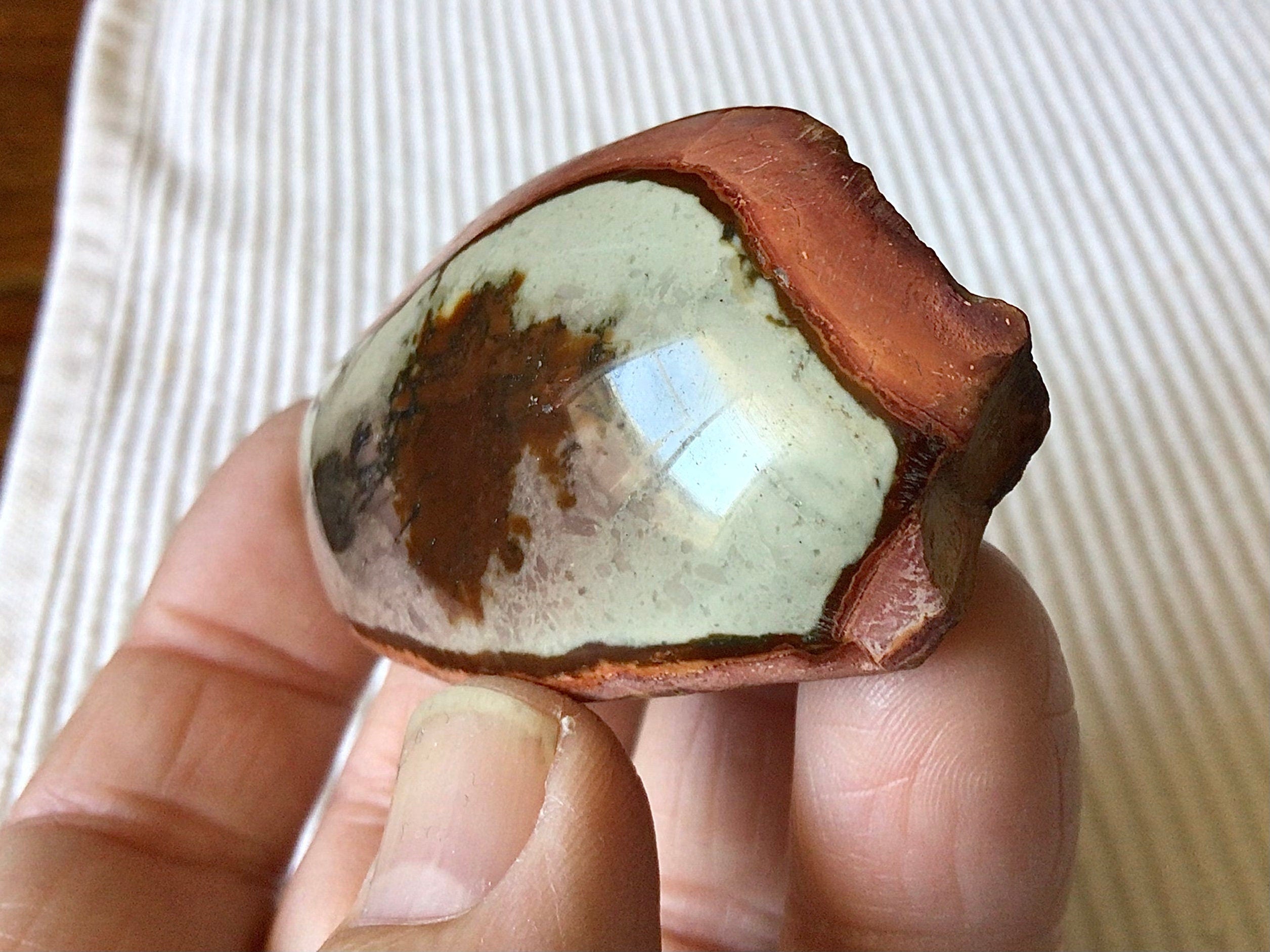 50g Polychrome Jasper One Side Polished 11B