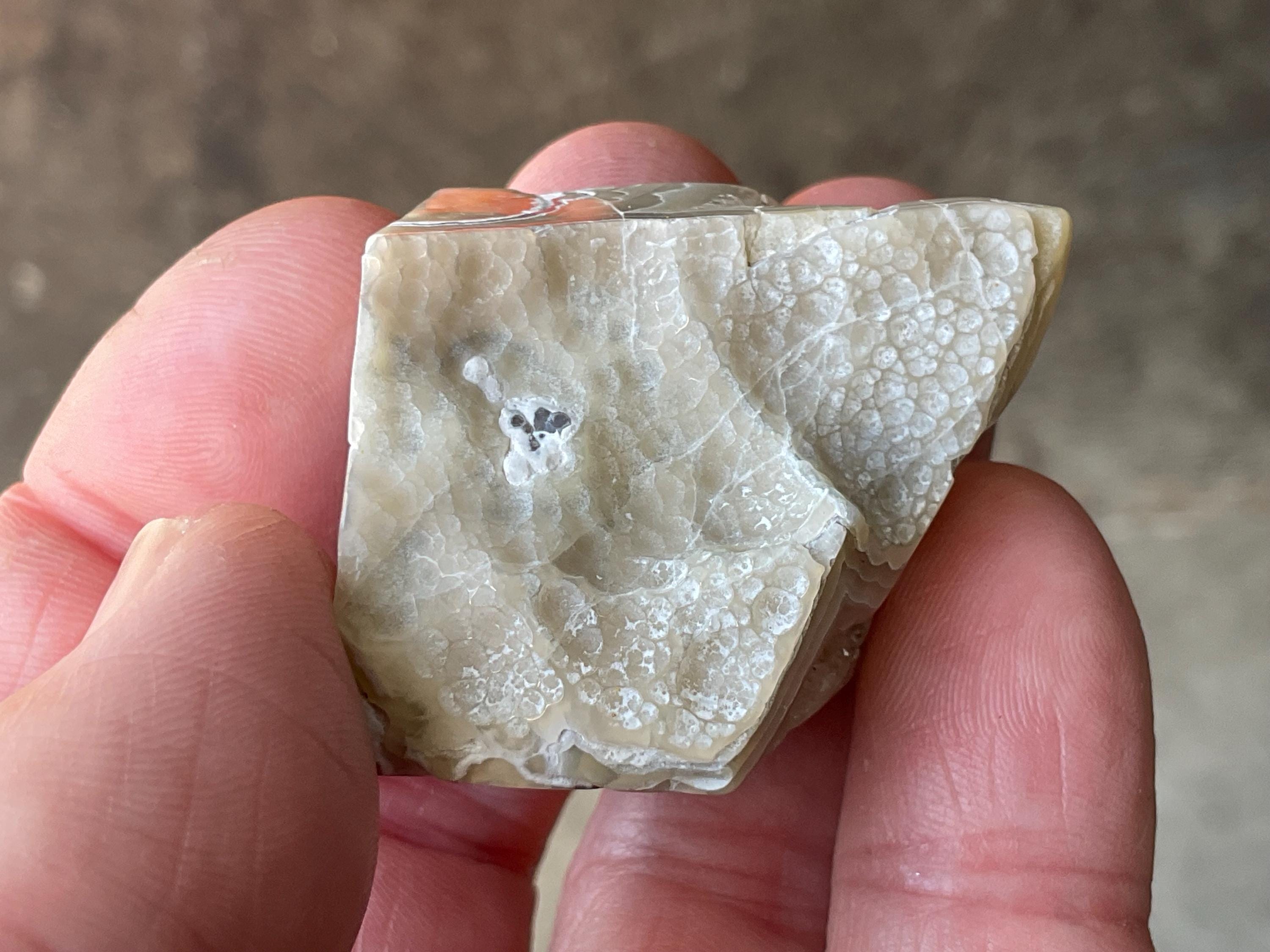 42g Mexican Crazy Lace Agate Freeform 15C