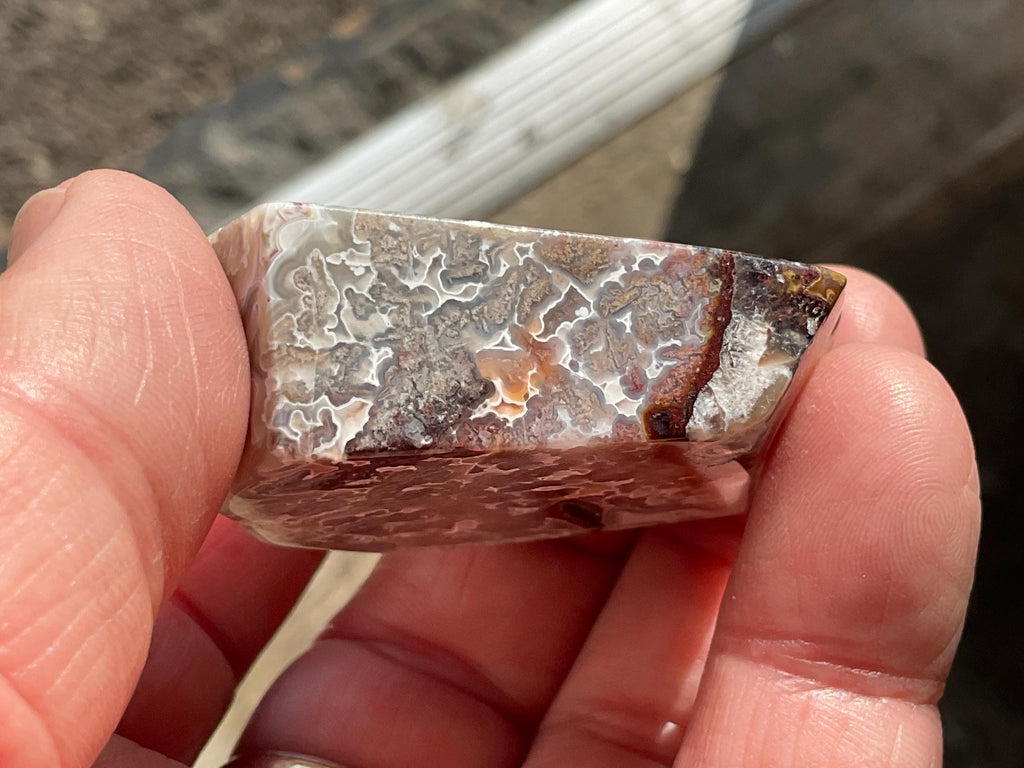 56G Mexican Crazy Lace Agate Freeform 18B