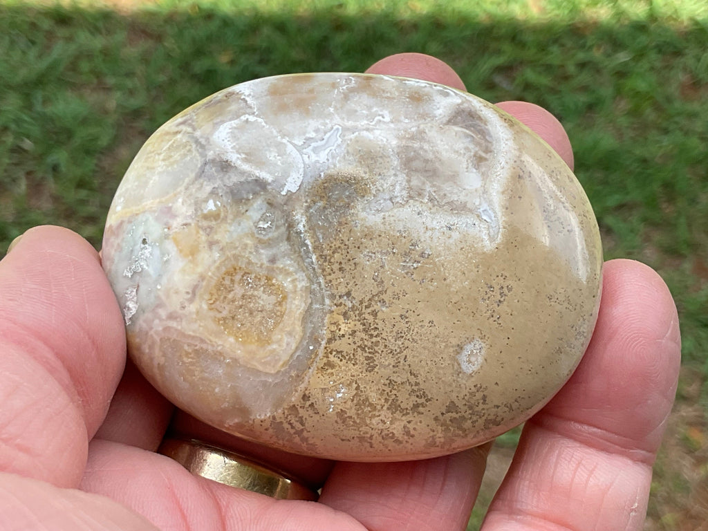 110g King Cobra Palmstone 2D