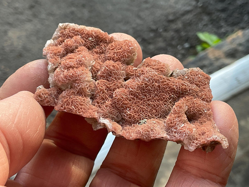 18g “Cherry Blossom” Pink Calcite Specimen C from Inner Mongolia