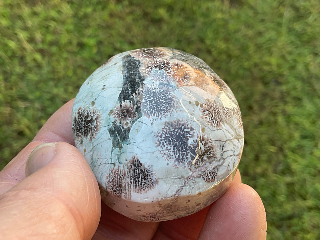 78g Green Cherry Blossom Jasper Palmstone 5B