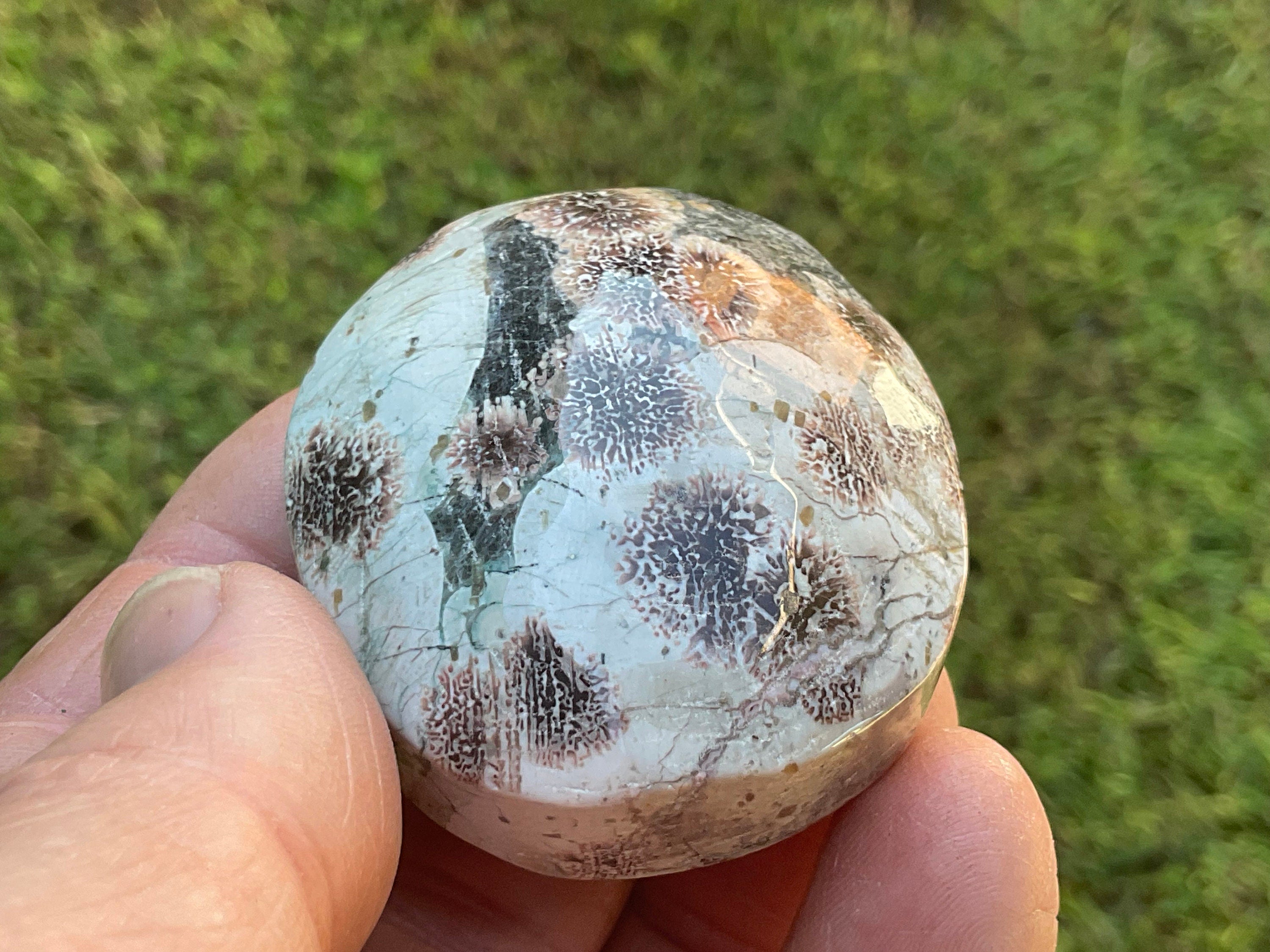 78g Green Cherry Blossom Jasper Palmstone 5B