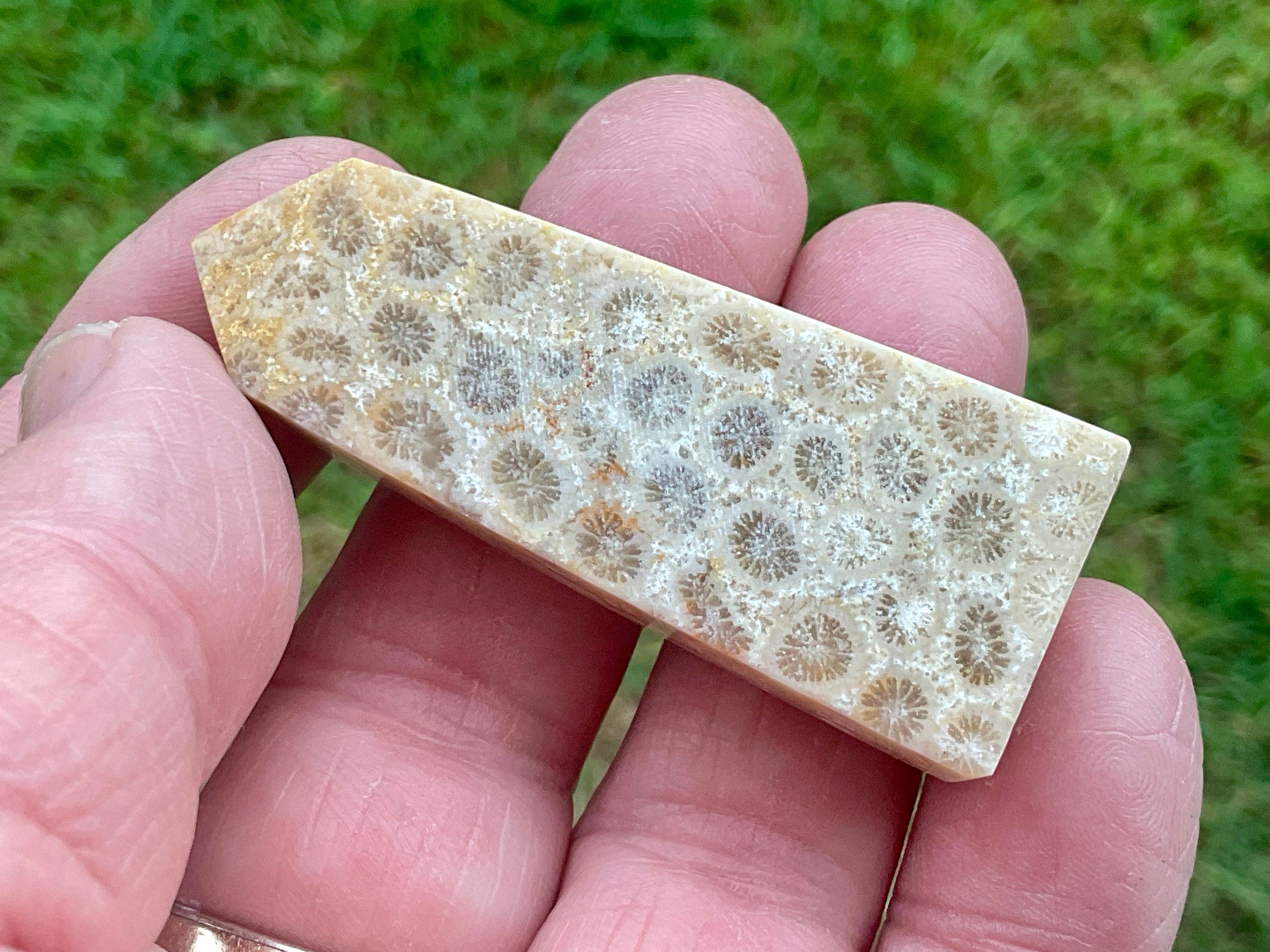 28g Fossilised Coral Generator 2A