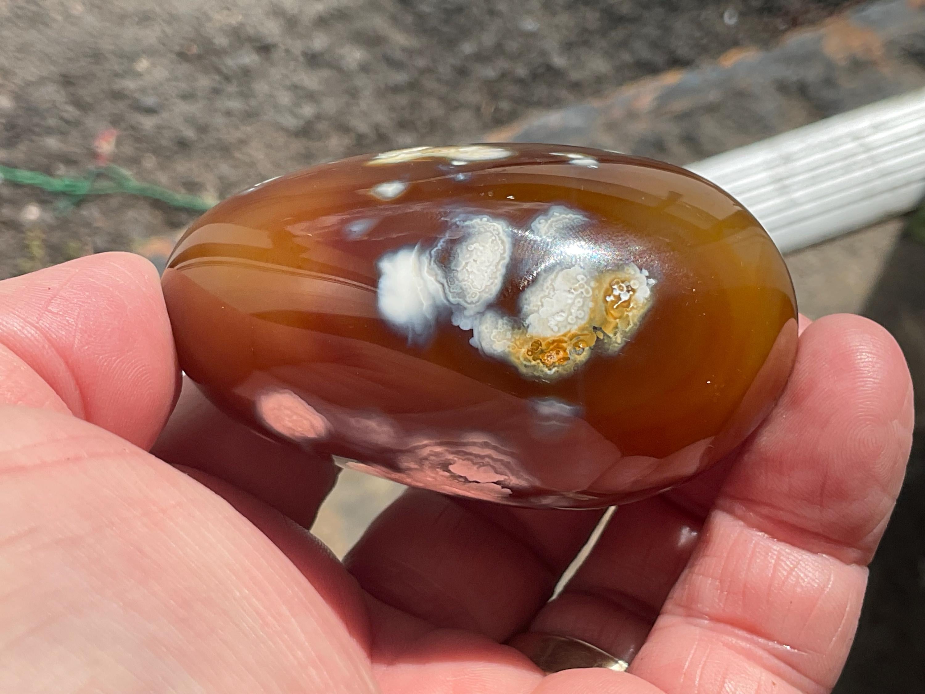 170g Carnelian Orca Agate Palmstone 7A