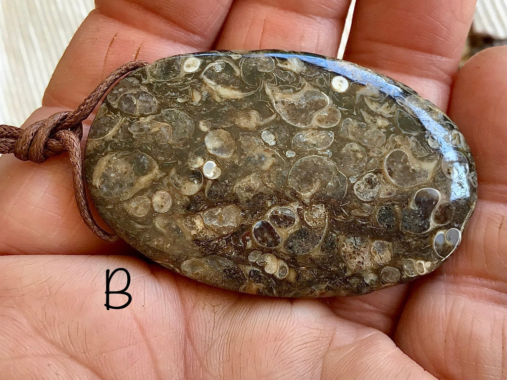 Large Turitella Agate Polished Pendant Group 3