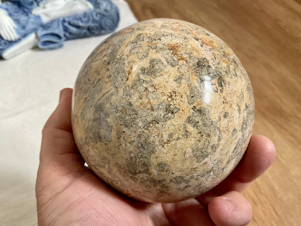 1268g XL Fossilised Ocean Floor Sphere C