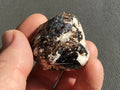 55g Yinnietharra Dravite Specimen 20B